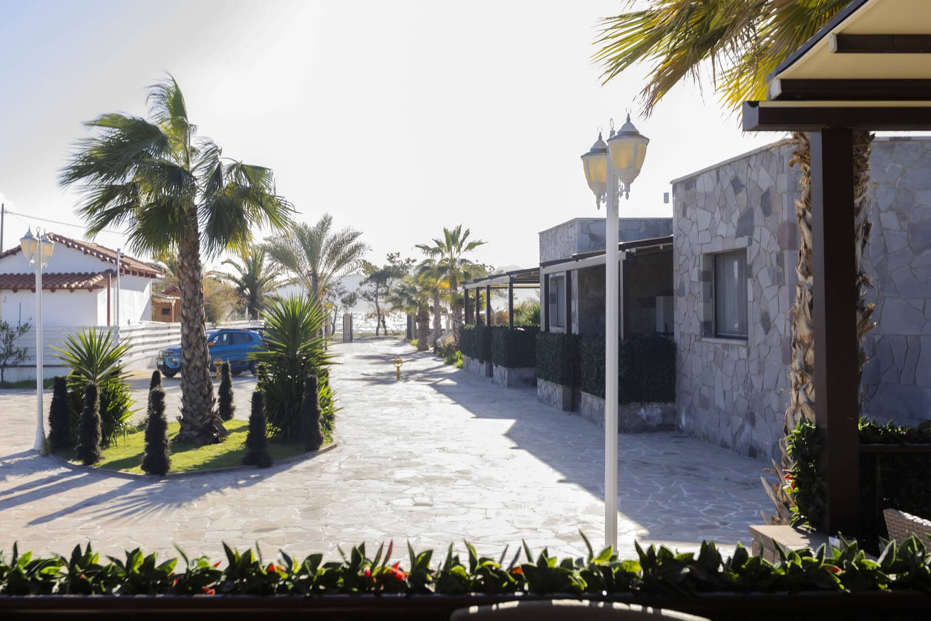 Palm-lined walkway near Bungalow Athena at Adonis Aegina Bungalows
